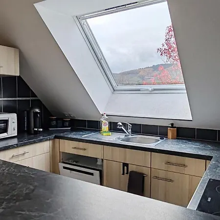 Au Coeur Des Vignes Apartment Kintzheim