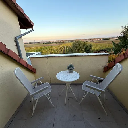 Apartment Au Coeur Des Vignes Kintzheim