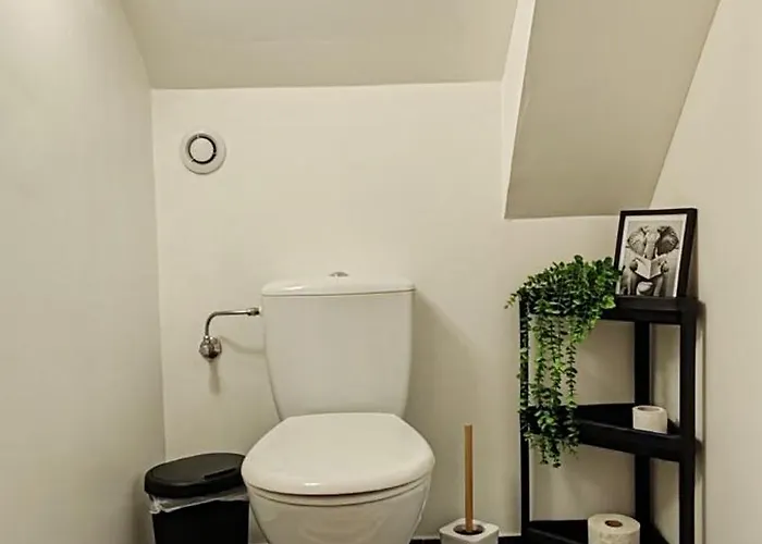 Au Coeur Des Vignes * Kintzheim