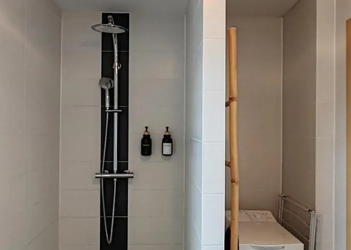 Au Coeur Des Vignes Daire Kintzheim