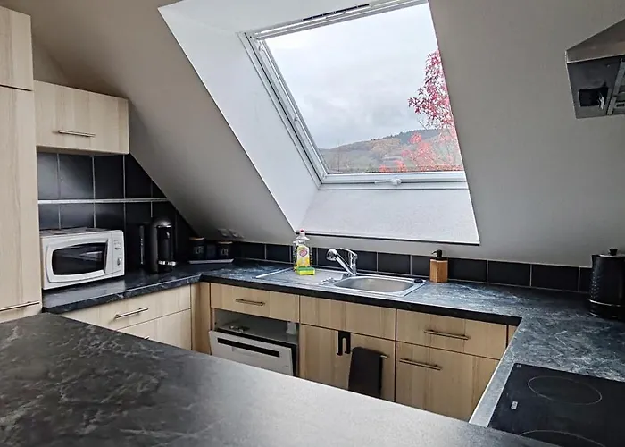 Au Coeur Des Vignes Daire Kintzheim