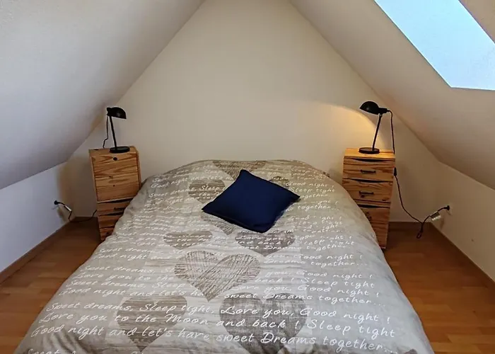 Au Coeur Des Vignes Daire Kintzheim