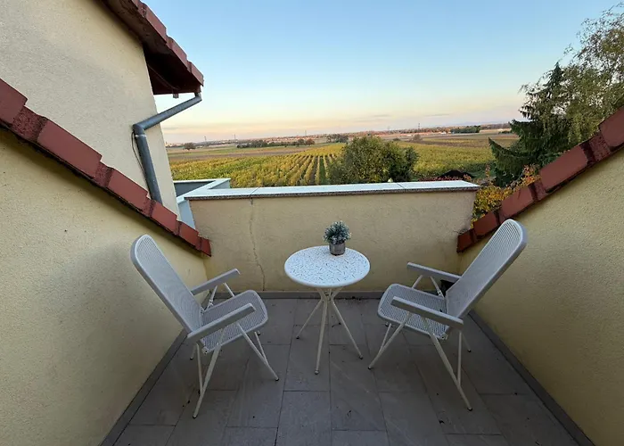 Daire Au Coeur Des Vignes Kintzheim